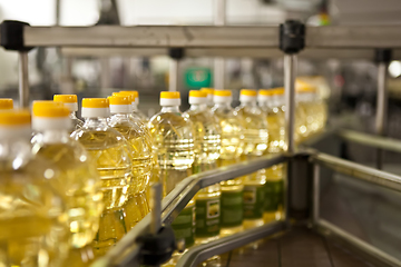 Image showing Sunflower oil in the bottle moving on production line. Shallow dof.