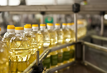 Image showing Sunflower oil in the bottle moving on production line. Shallow dof.