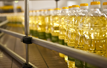 Image showing Sunflower oil in the bottle moving on production line. Shallow dof.