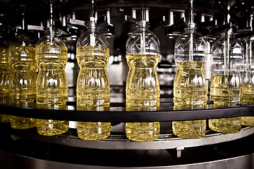 Image showing Sunflower oil in the bottle moving on production line. Shallow dof.