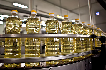 Image showing Sunflower oil in the bottle moving on production line. Shallow dof.