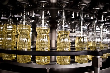 Image showing Sunflower oil in the bottle moving on production line. Shallow dof.