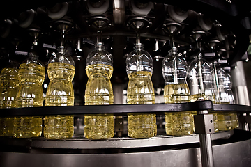 Image showing Sunflower oil in the bottle moving on production line. Shallow dof.