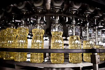 Image showing Sunflower oil in the bottle moving on production line. Shallow dof.