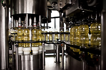 Image showing Sunflower oil in the bottle moving on production line. Shallow dof.