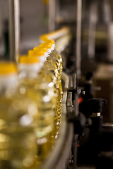 Image showing Sunflower oil in the bottle moving on production line. Shallow dof.