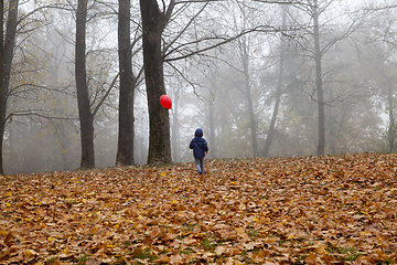 Image showing Walk park child rest autumn