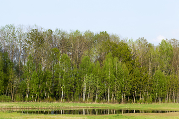 Image showing Landscape spring