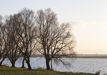 Image showing Edge lake shore trees