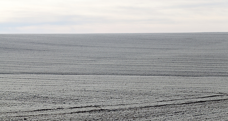 Image showing frozen soil field agriculture