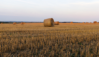 Image showing stock straw