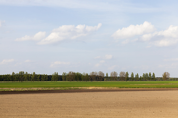 Image showing agricultural field