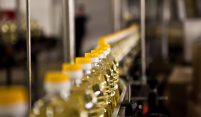 Image showing Sunflower oil in the bottle moving on production line. Shallow dof.