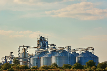 Image showing Modern silos for storing grain harvest. Agriculture. Background.