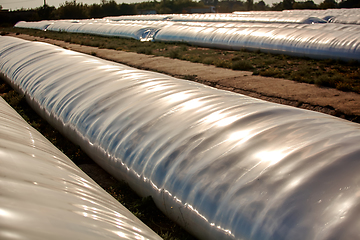 Image showing Silo bag in a farm with fence and field. Rural, countryside image, agricultural industry scene.