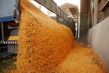 Image showing Silo bag in a farm with fence and field. Rural, countryside image, agricultural industry scene.