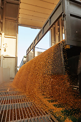 Image showing Silo bag in a farm with fence and field. Rural, countryside image, agricultural industry scene.