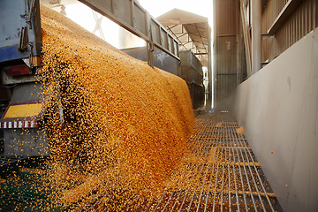 Image showing Silo bag in a farm with fence and field. Rural, countryside image, agricultural industry scene.