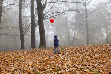 Image showing Walk boy