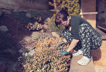 Image showing middle age woman gardener in spring garden