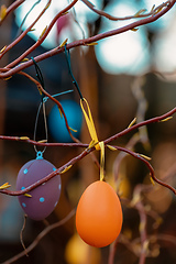 Image showing Easter eggs on tree with bokeh