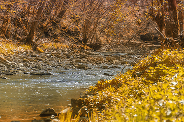 Image showing waterside indian summer scenery