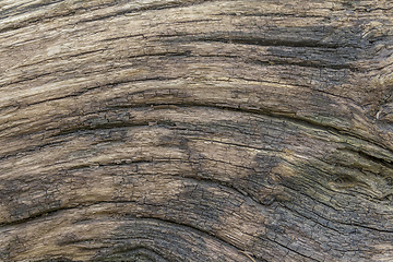 Image showing fissured wood surface