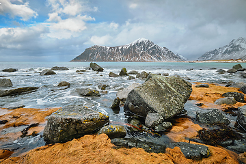 Image showing Rocky coast of fjord in Norway