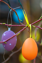 Image showing Easter eggs on tree with bokeh