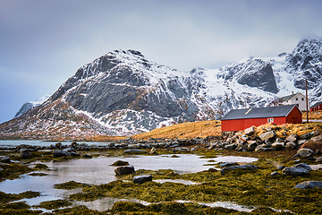 Image showing Red rorbu house and fjord in Norway