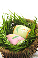 Image showing Easter eggs with green grass