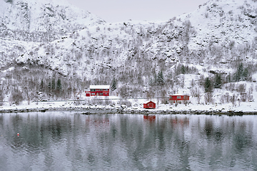 Image showing Red rorbu houses in Norway in winter