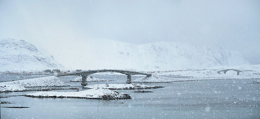 Image showing Snowfall on Lofoten islands, Norway