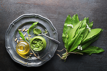 Image showing Ramson wild garlic pesto