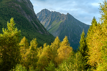 Image showing mountain peak above autumn colored trees