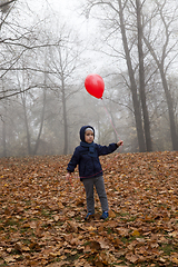 Image showing boy and balloon