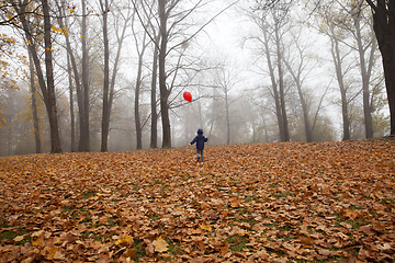 Image showing autumn forest boy