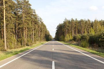 Image showing Road forest