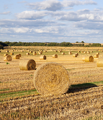 Image showing A stack of straw