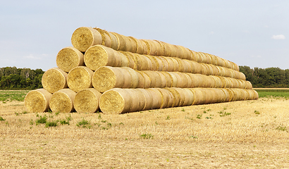 Image showing cylindrical stacks