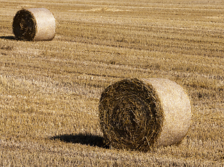 Image showing stack of straw