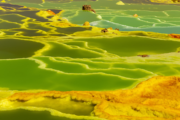 Image showing Dallol, Ethiopia. Danakil Depression