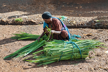 Image showing Ethiopian man sells sugar cane on the street