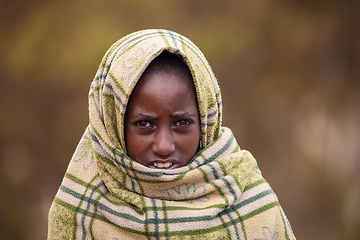 Image showing Ethiopian shepherdess girl, Simien Mountains, Ethiopia