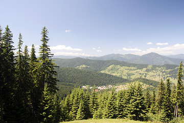 Image showing Forest landscape