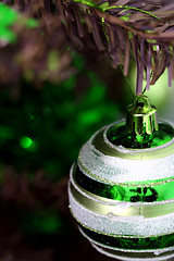 Image showing Christmas ornaments on tree.