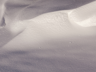 Image showing The surface of the snow in winter