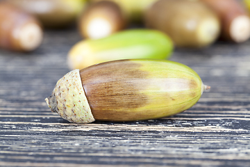 Image showing Colorful autumn acorns