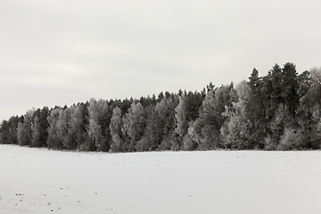 Image showing Snow drifts in winter