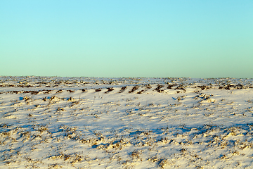 Image showing ground under the snow